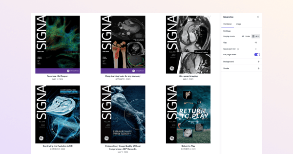 Issues Overview